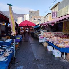 旅友募集 - 習志野市