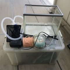 水槽セット　水中ポンプ　メダカ飼育セット