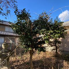 岡山県瀬戸内市牛窓町牛窓　土地　現況渡し