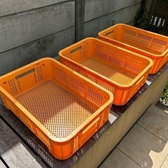 プラスチックコンテナ　3個