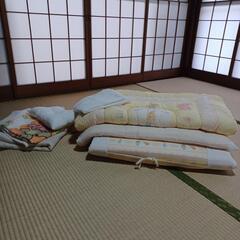 ピーターラビットの寝具