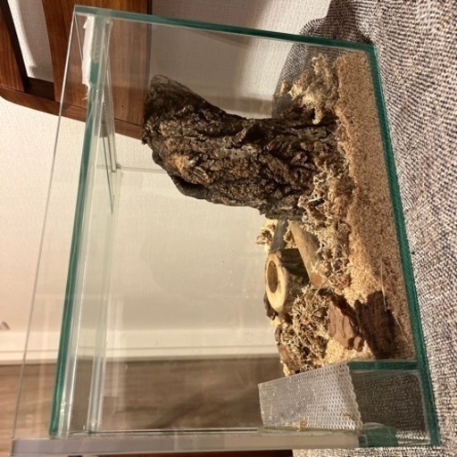 フジコン(fujikon)オールガラス飼育ケース　クワガタ　クワリウム
