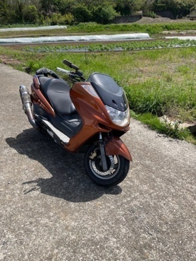 マジェスティ 実働車