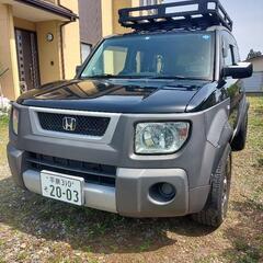 激レア ELEMENT ホンダオブアメリカ