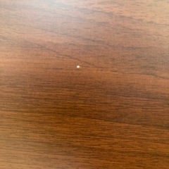こたつ　茶色の画像