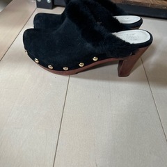 ミュールの画像