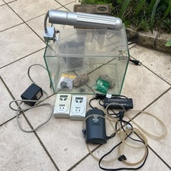 Tetra テトラ　水槽　セット　メダカ　熱帯魚　30cm