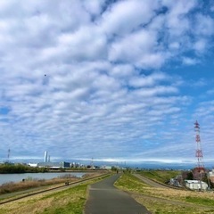 軽めのランニング友達募集