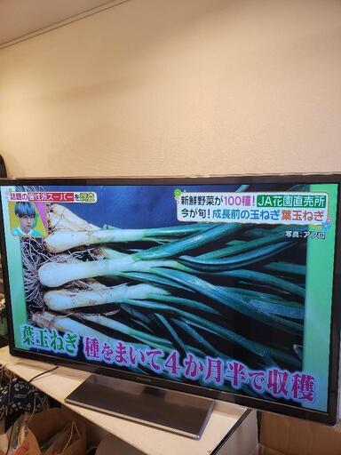 Panasonic スマートヴィエラ TH-P60GT5 プラズマテレビ 60インチ\n\n