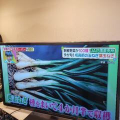 Panasonic スマートヴィエラ TH-P60GT5 プラズ...