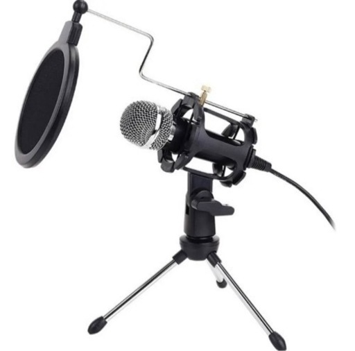 大幅値下げ‼️コンデンサーマイク　マイクロホンPROFESSIONAL MIC
