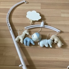 トラセリア　メリー