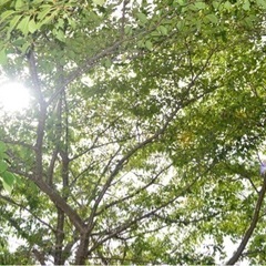 一緒に写真撮りに行きましょ📸