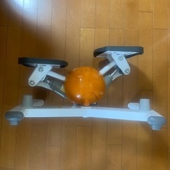 コアビクサーの画像