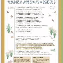 稲の苗 9本 （バケツ1つ分）