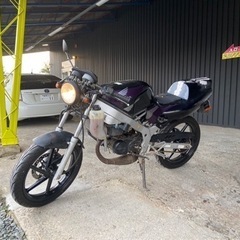 NS1