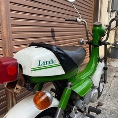 ☆ ★ ランディー ★ ☆の画像