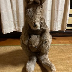 カンガルー　ぬいぐるみ　親子の画像