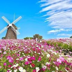 🍹花博記念公園の散策コン in 鶴見緑地！🍏趣味コンイベント開催中！🍹