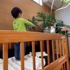 コンビ　ベビーベッド　天然木100%の画像