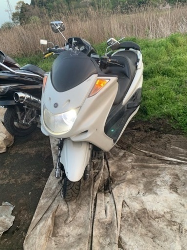 ヤマハマジェスティC 250 実働！SG-03J