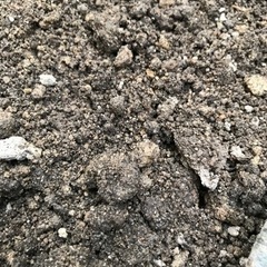 庭土　残土　土嚢袋2袋分　の画像