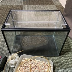 プラスチック水槽