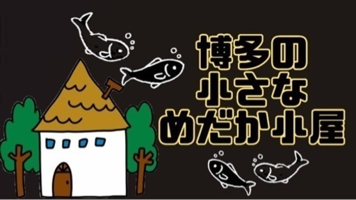 博多の小さなめだか小屋めだか販売 (博多の小さなめだか屋) 竹下