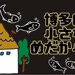 博多の小さなめだか小屋　めだか販売