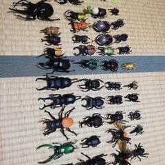 クワガタ、カブトムシ　オモチャ