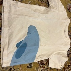 洋服　男の子⑨  2点セット　無印良品他の画像
