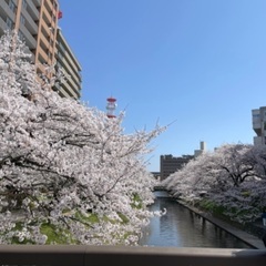特に移住者とおともだちになりたいです - 富山市