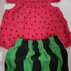 スイカ🍉セットアップ