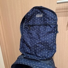 キャリー付きリュックサックの画像