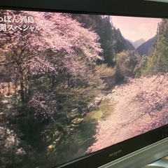（再募集）液晶テレビ　AQUOS LD-32SP1の画像