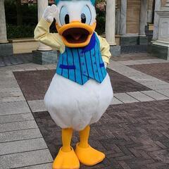 ディズニー同行