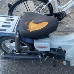 スズキ　バーディーの画像