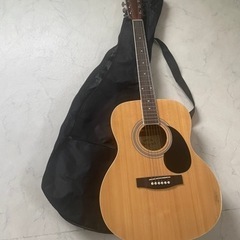 ハニービー　ギター