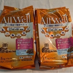 キャットフード　お話中