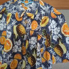 未使用Ｌ綿シャツの画像