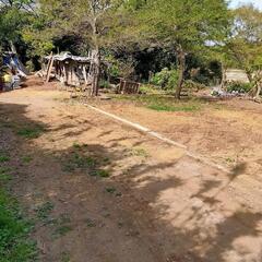 残土、砕石、砂利、受け入れます【交通費3000円支給】の画像