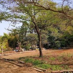 残土、砕石、砂利、受け入れます【交通費3000円支給】の画像