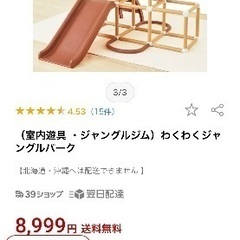 ジャングルジム【取説有り/中古】の画像