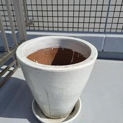 植木鉢あげます