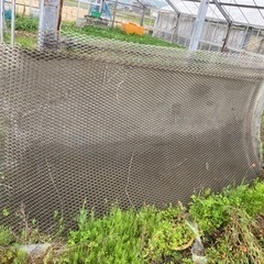 エキスパンドメタル の画像