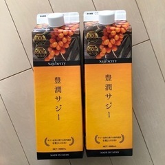 豊潤サジー　1000ml×2本