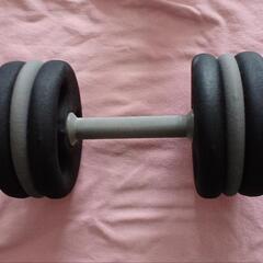 可変式ダンベル10kg