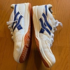 シューズ　立石中学校体育用シューズでした。の画像