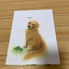 犬と私の10の約束の画像