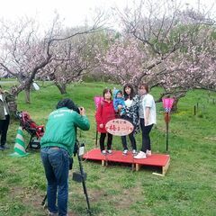 「平岡公園梅まつり」写真販売スタッフ募集！GW短期！